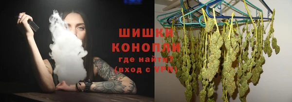 индика Михайловка