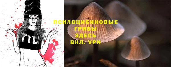 героин Михайлов
