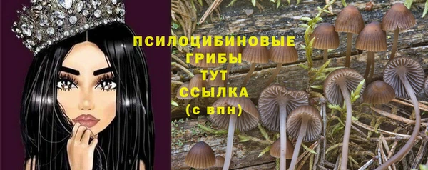 индика Михайловка