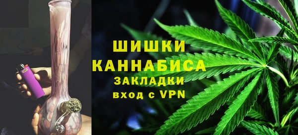 индика Михайловка