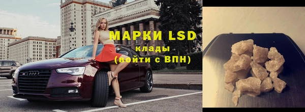 индика Михайловка